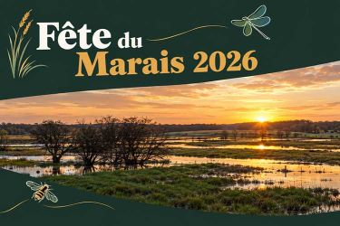 Fête du Marais - Dimanche 13 septembre