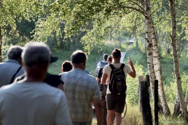 Un &eacute;t&eacute; sur le Marais