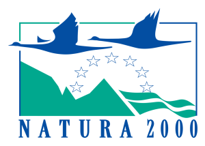 Logo Natura 2000 - Désignation du site au titre de la Directive « Habitats, faune et flore » sur demande des élus locaux.