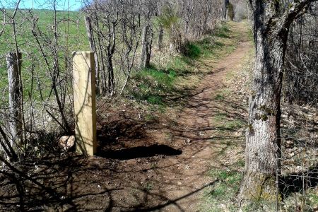 Fr&eacute;quentation 2024