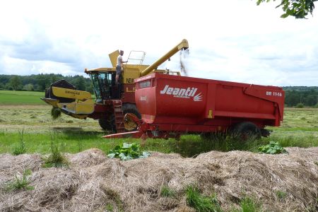 Journ&eacute;e "r&eacute;colte de semences prairiales"
