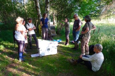 Un été sur le marais