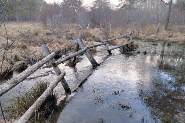 Photo sur le terrain du comité de pilotage du site Natura 2000 « Marais du Cassan et de Prentegarde »
