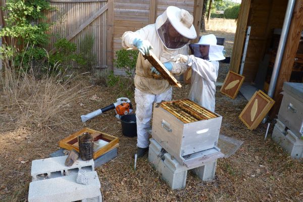 Photos du rucher pédagogique situé aux Marais du Cassan et de Prentegarde dans le Cantal.