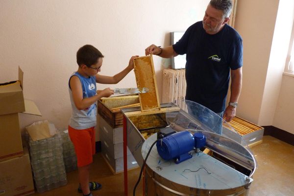 Photos du rucher pédagogique situé aux Marais du Cassan et de Prentegarde dans le Cantal.