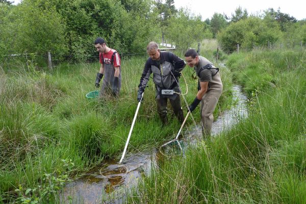 La Fédération de Pêche du Cantal intervenant sur le site du Marais du Cassan et de Prentegarde.