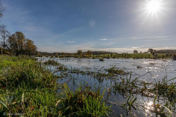 Photos des plus beaux paysages des Marais du Cassan et de Prentegarde, zone humide protégée, situés sur les communes de Lacapelle-Viescamp, Saint-Etienne-Cantalès et Saint-Paul-des-Landes dans le Cantal. Photos et droits d'auteur réservés : Cantal Photo Club. 