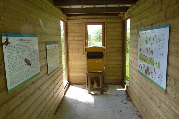 Rucher pédagogique : apiculture et travail des abeilles... 