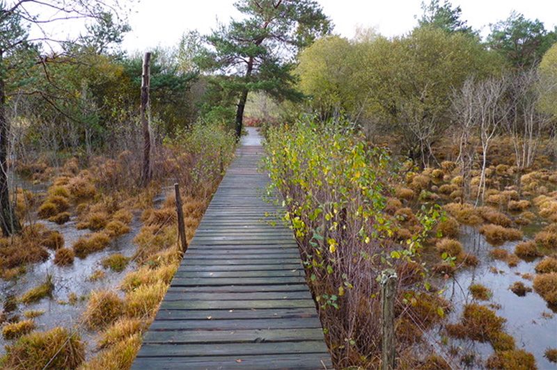 Matinées naturalistes et ludiques !