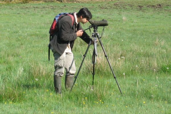 Importance du Marais du Cassan et de Prentegarde pour l’avifaune (oiseaux) avec près de 125 espèces différentes qui ont été recensées depuis 2006