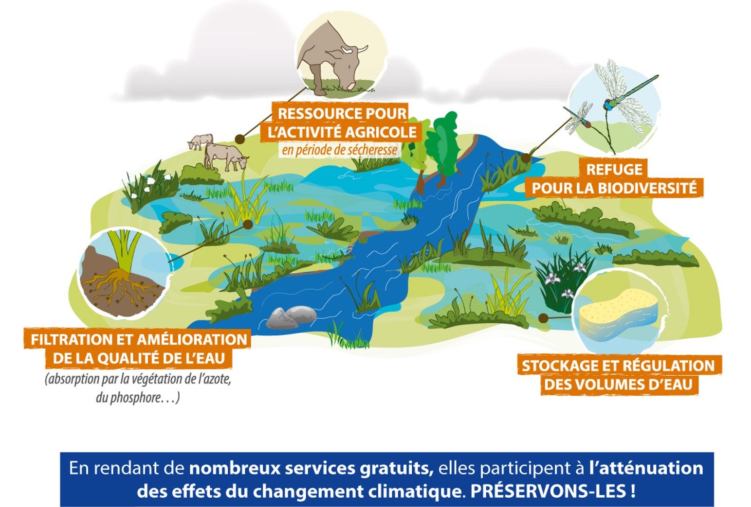 Schéma conçu par le CEN Auvergne