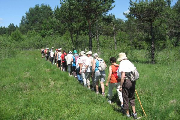  Randonnées dans le Marais du Cassan et de Prentegarde