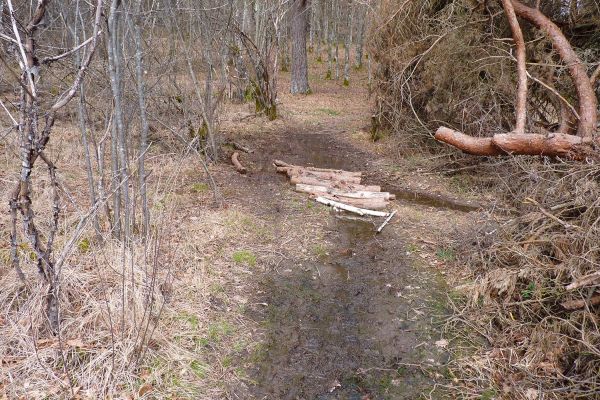 Déplacement sur la commune de Lacapelle-Viescamp d’un caillebotis de 7,40 m situé dans un secteur peu humide de la commune de Saint-Paul des Landes. Rajout d’une longueur de 2 mètres