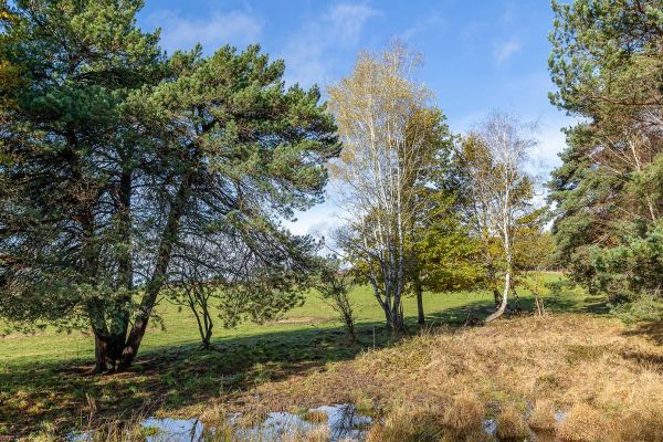 Photos des plus beaux paysages des Marais du Cassan et de Prentegarde, zone humide protégée, situés sur les communes de Lacapelle-Viescamp, Saint-Etienne-Cantalès et Saint-Paul-des-Landes dans le Cantal. Photos et droits d'auteur réservés : Cantal Photo Club.