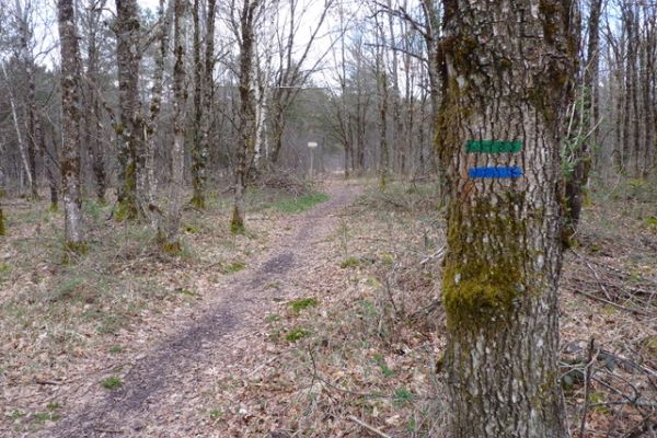 entretien du balisage des deux sentiers vient d’être fait mi-mars par les baliseurs officiels de la Fédération Française de la randonnée pédestre du cantal