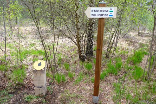 Changement du poteau directionnel à la tourbière