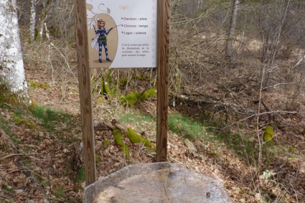 nouvelle plaque dendrochronologique