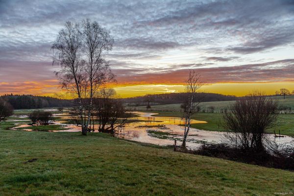 Photos des plus beaux paysages des Marais du Cassan et de Prentegarde, zone humide protégée, situés sur les communes de Lacapelle-Viescamp, Saint-Etienne-Cantalès et Saint-Paul-des-Landes dans le Cantal. Photos et droits d'auteur réservés : Cantal Photo Club. 