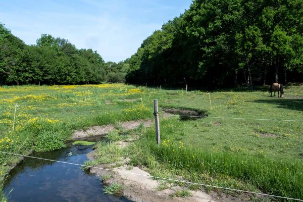 Restauration du Bassin Versant de l’Auze