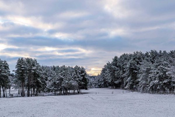 Photos des plus beaux paysages des Marais du Cassan et de Prentegarde, zone humide protégée, situés sur les communes de Lacapelle-Viescamp, Saint-Etienne-Cantalès et Saint-Paul-des-Landes dans le Cantal. Photos et droits d'auteur réservés : Cantal Photo Club. 