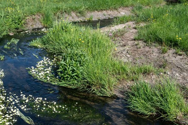 Restauration du Bassin Versant de l’Auze