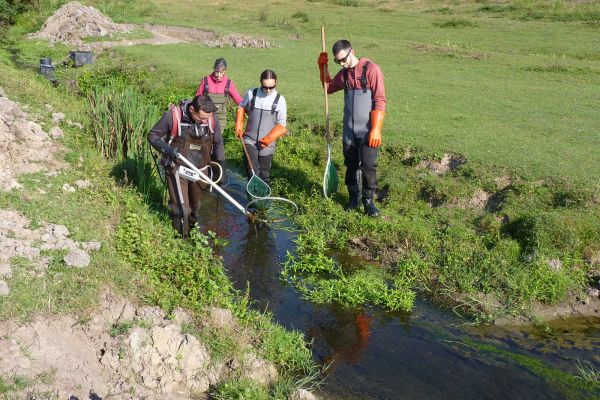 Restauration du Bassin Versant de l’Auze